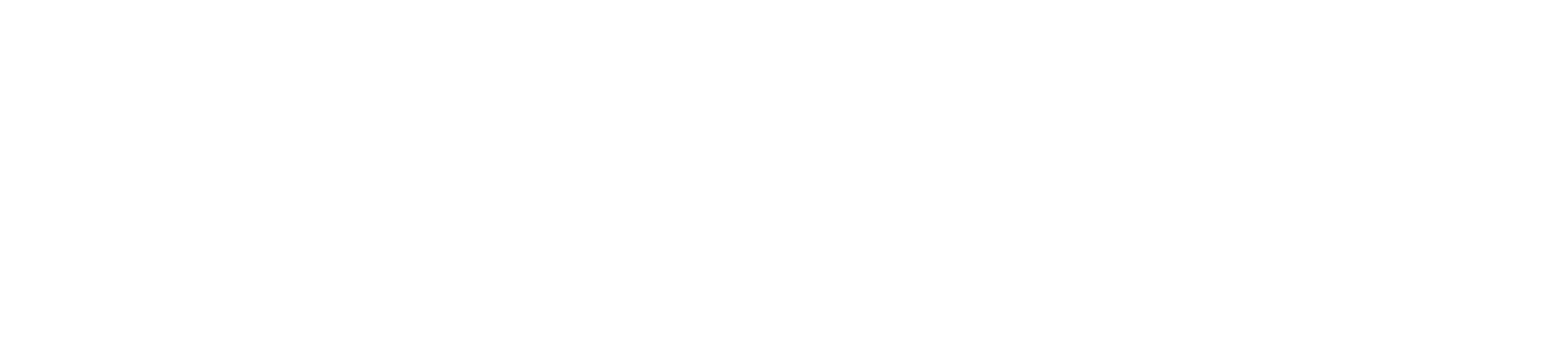 KMS Partners Logo